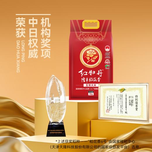 红牡丹隆平稻花香 五常大米5kg 商品图6