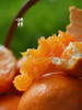【等待一年的耙耙柑】顺丰/京东包邮   春天里的 春见耙耙柑 9.5-9.8高熟度 果味浓郁 不打除草剂 施有机肥 生态种植 孕妇孩子放心吃 商品缩略图1