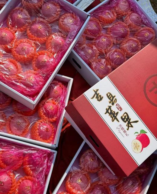 自营-吉县高山苹果 昼夜温差酿好味 酸甜适口老少皆宜 商品图1