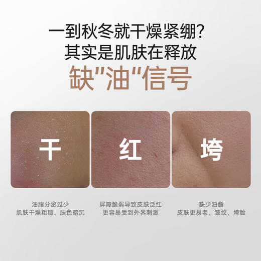 【面部精华油】多效合一 修护抗皱紧致焕亮 轻盈水感质地 不厚重不闷肤 多效修护面部精华油（30ml） 商品图3