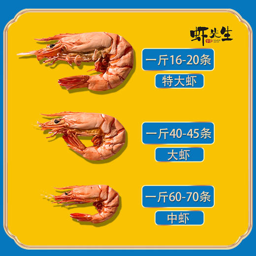 【虾先生】虾先生斑节虾干精品装120g/盒 商品图5