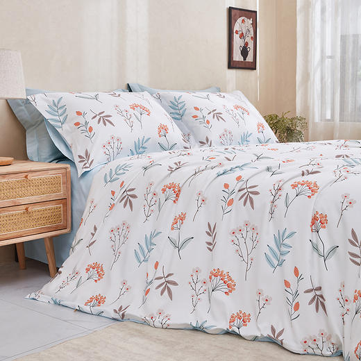 梦洁云朵绵印花四件套：黛容 商品图2