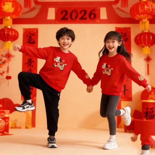 F012818马年重工刺绣马上有福拜年服加绒卫衣 商品图5