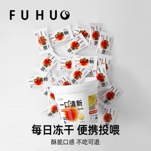 【俘获好礼】俘获G12一口清新冻干猫咪磨牙棒小零食去狗狗口臭口腔牙齿清洁齿 商品图3