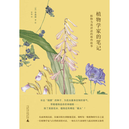植物学家的笔记 申惠雨/著 罗竣/译 商品图5