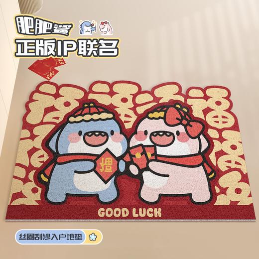慢说丝圈入户垫 PVC丝圈材质刮泥蹭土不漏灰尘防滑0.6cm不卡门缝支持DIY自由裁剪 商品图2