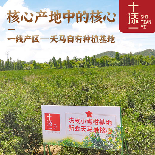 『十添一』正宗新会核心产区三年至十五年老树生晒陈皮礼盒装养生茶年货送礼 商品图1