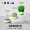 【余额抵扣】俘获F2小麦猫草种植猫草盆栽懒人猫草罐头 商品缩略图1