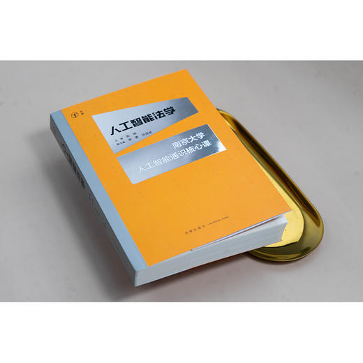 人工智能法学：南京大学人工智能通识核心课  陈坤主编 单勇 洪清波副主编  法律出版社 商品图3