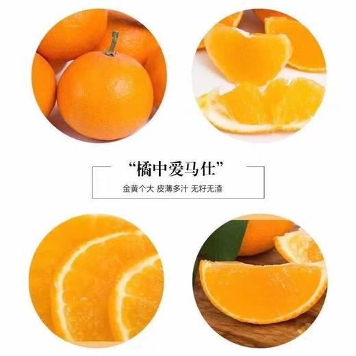 象山 红美人 5斤礼盒装 商品图1