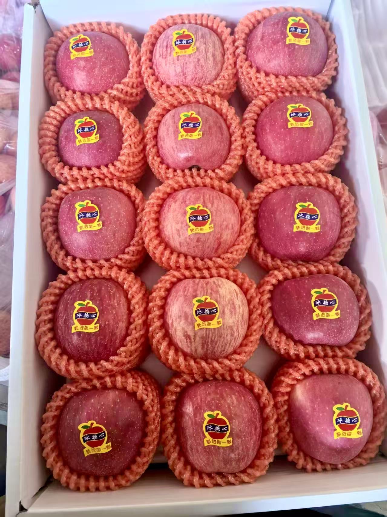 自营-陇原特产甘肃苹果 昼夜温差积累糖 脆嫩无渣好口感