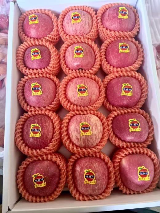 自营-陇原特产甘肃苹果 昼夜温差积累糖 脆嫩无渣好口感 商品图0