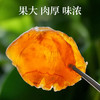 【米马团购】食味的初相 莆田桂圆肉80g*1罐/2罐 商品缩略图1