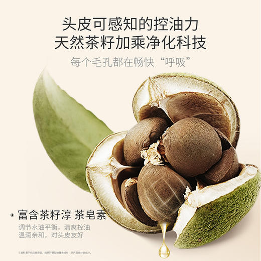 【控油洗发露】油头星人必备！茶籽控油 调理头皮健康 蓬松发丝 茶籽清爽控油洗发露300g（控油） 商品图1