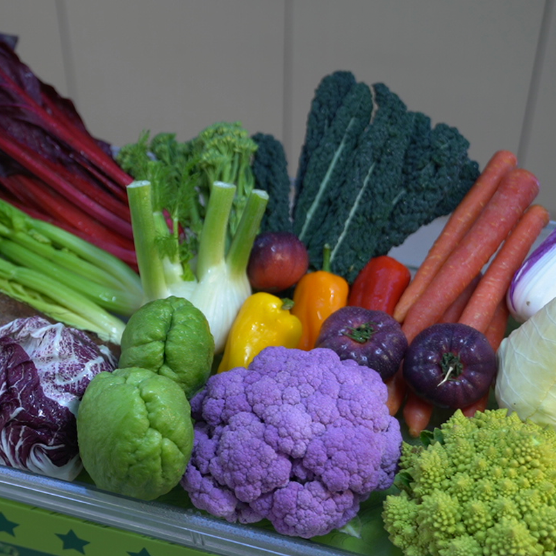 果蔬套装礼盒  含8种果蔬