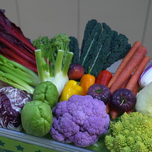 果蔬套装礼盒  含8种果蔬 商品图0