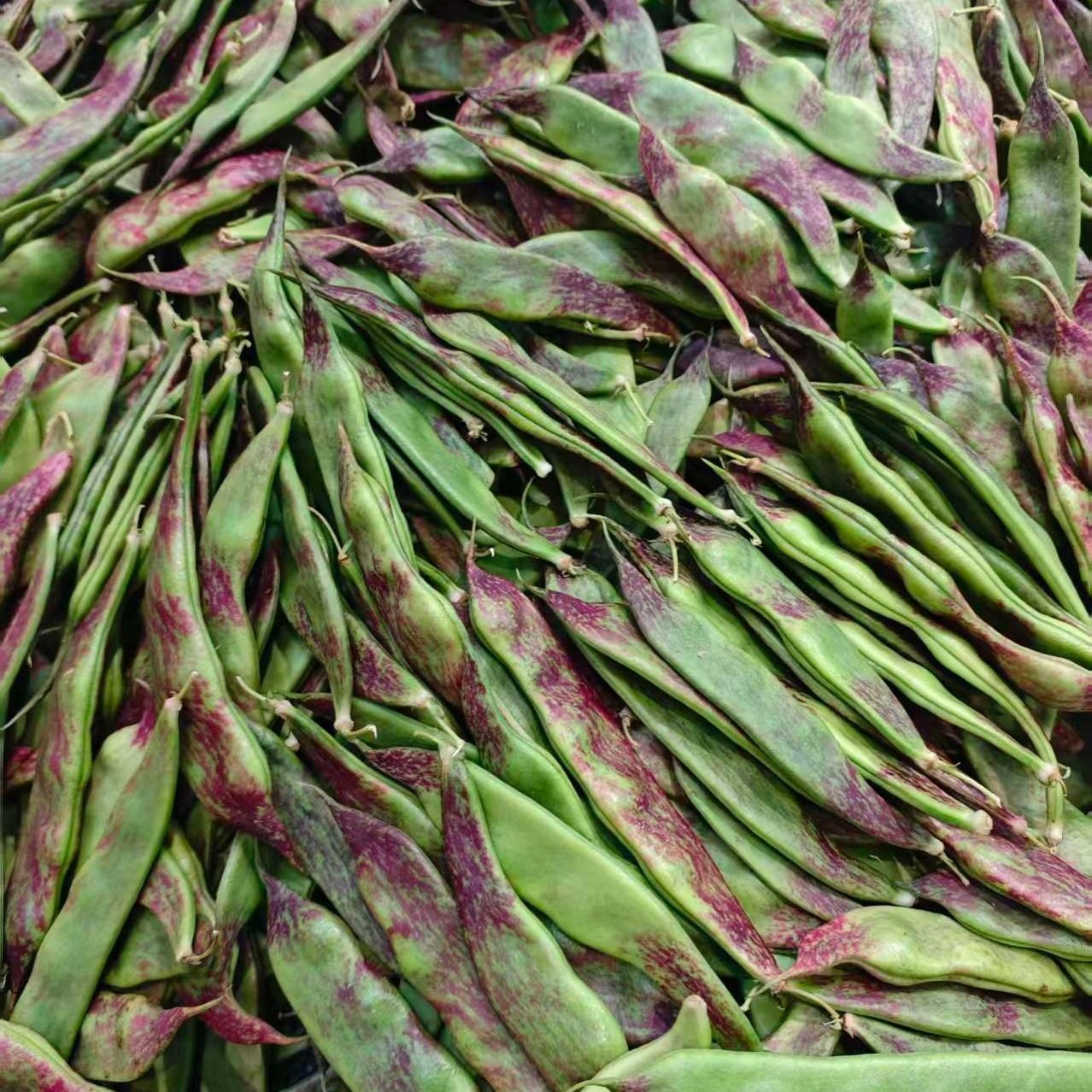 东北油豆(450±30g)豆角