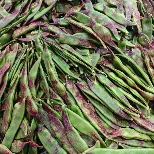 东北油豆(450±30g)豆角 商品图0