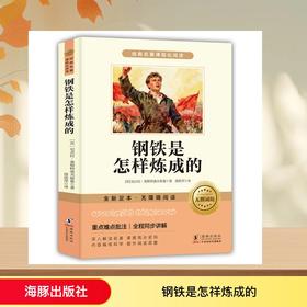 钢铁是怎祥炼成的