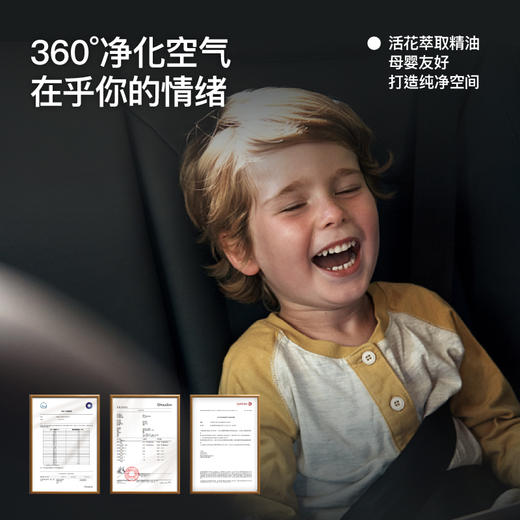 理想之地情绪香挂 商品图2