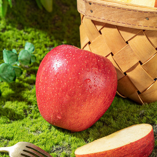 【甜蜜年礼】新鲜水果 清脆可口洛川苹果礼盒  12枚/盒（带箱8.8斤左右） 商品图3