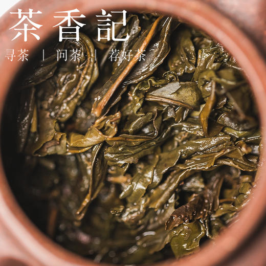 茶香记九龙野王紫野贡尖018安化黑茶核心产区荒野老树群体种 野生紫芽 商品图4