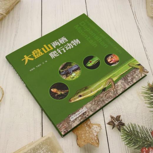大盘山两栖爬行动物 &3453 商品图2