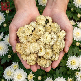 菊花（50克/袋）