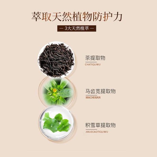 PULANSU朴兰素香遇白茶洗发水沐浴露护发素润肤露酒店专用洗护 商品图2