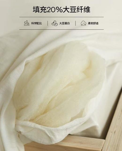 大豆被空调被子被芯春秋被加厚冬被四季通用保暖冬季 商品图4