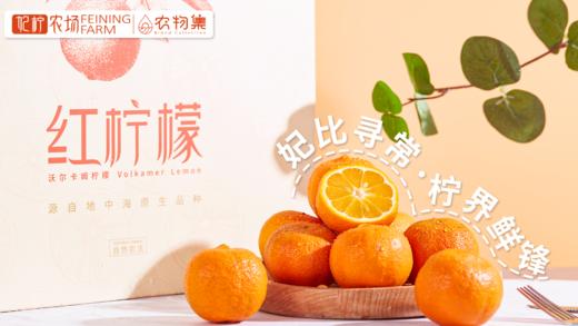 妃柠 有机红柠檬 商品图0