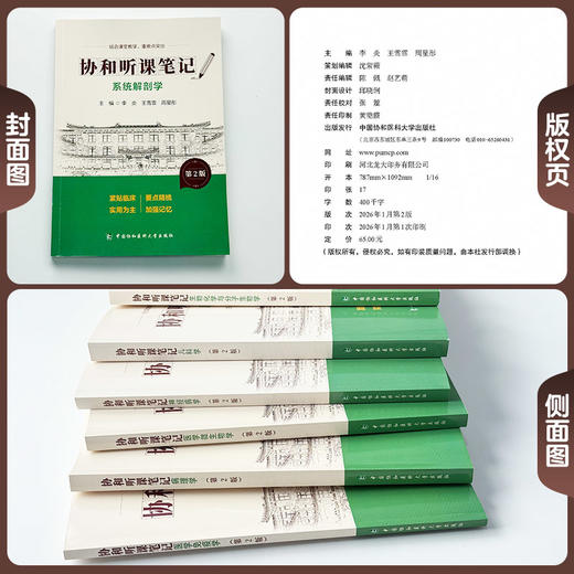 系统解剖学 第2版 协和听课笔记 李炎 王雪霏 周星彤 主编 结合课堂教学 重难点突出 9787567927384 中国协和医科大学出版社 商品图2