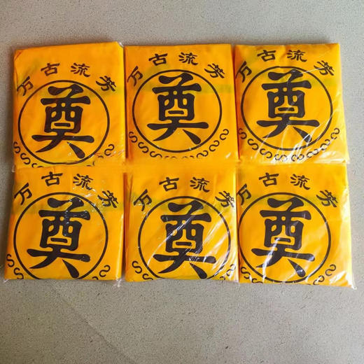 殡仪馆用尸体袋多款敛尸袋医院用裹尸袋遗体袋殡葬尸袋用品厂家 商品图1
