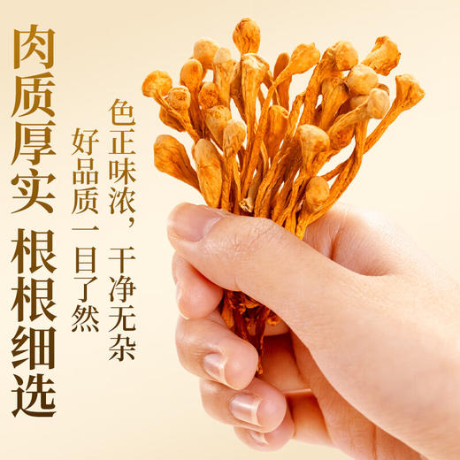 珍悉羊肚菌礼盒 山珍菌菇四拼装368克菌菇礼盒 礼品送礼送父母送长辈 商品图7