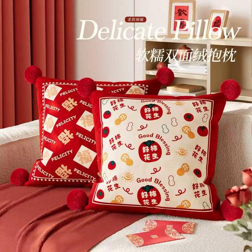 慢说卧室书房抱枕荷兰绒+PP棉BZ02  荷兰绒质感光滑细腻亲肤蓬松印花精美不易起球 商品图1