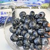 【抚仙湖蓝莓】用全国水质好的抚仙湖水灌溉的，长出的蓝莓水灵饱满，汁多肉甜，果皮厚厚，其中的花青素和维生素含量超高，爱护眼睛就多吃蓝莓！！ 商品缩略图10