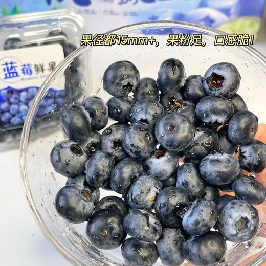 【抚仙湖蓝莓】用全国水质好的抚仙湖水灌溉的，长出的蓝莓水灵饱满，汁多肉甜，果皮厚厚，其中的花青素和维生素含量超高，爱护眼睛就多吃蓝莓！！ 商品图10