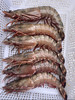 &  虾中巨擘！特大红爪虾🦐带膏，肉质紧实，鲜甜，少量货‼【活冻】 商品缩略图3