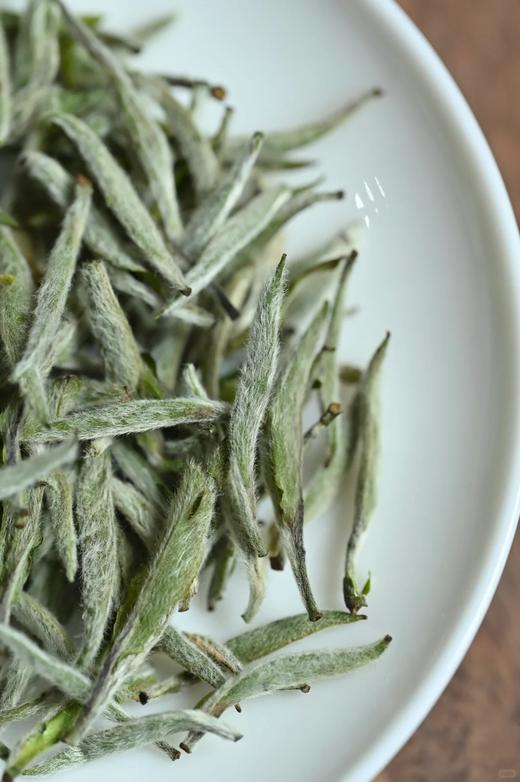 【年货茶礼】【青龙山一级白毫银针】2025年春茶，掌柜线下店爆买茶礼，线上直接蕞底价特惠分享，需要茶礼的茶友放心拍，性价比非常高，500克/盒 商品图3