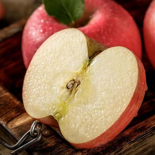 自营-陇原特产甘肃苹果 昼夜温差积累糖 脆嫩无渣好口感 商品图1