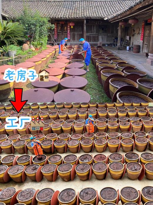 正月十六开始发货【非遗土主豆瓣酱】不添加香精色素、增稠剂防腐剂，真正0️⃣添加，吃起来健康放心！ 商品图7