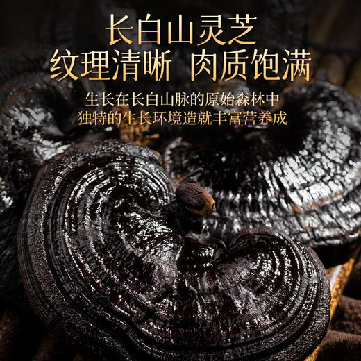 神农金康黑枸杞黄芪人参灵芝红色四拼礼盒230g 年货节礼品企业员工福利 商品图6