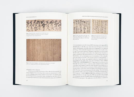 Affect and Materiality: Emotion in Chinese Art / 情动与物性：中国艺术中的情感 商品图1