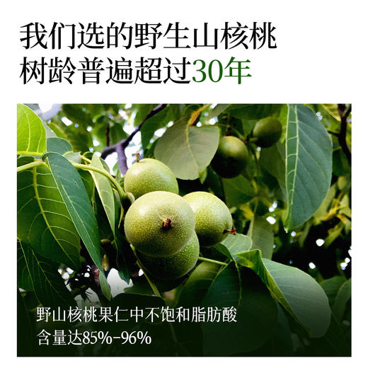 全食物日记 有机DHA野生山核桃油100ml 商品图3