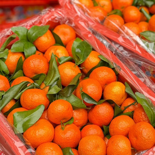 【居家必备纯甜稀缺正宗小砂糖蜜桔】多汁可口，纯甜纯甜，橘子味很正，味道浓郁！ 商品图4