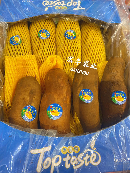 雪莲果，清甜的水果，甜脆口感，清热  活动价4.98一斤 商品图9