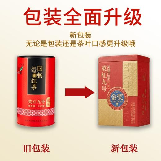 国畅丨 英红九号 经典探花礼罐 英德红茶 一级 250g 新旧包装随机发货 买2罐配手提袋 商品图6