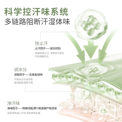 【青少年香体露】夏季必备止汗净味香体3合1 袋鼠妈妈爽身香体露30ml 商品图4