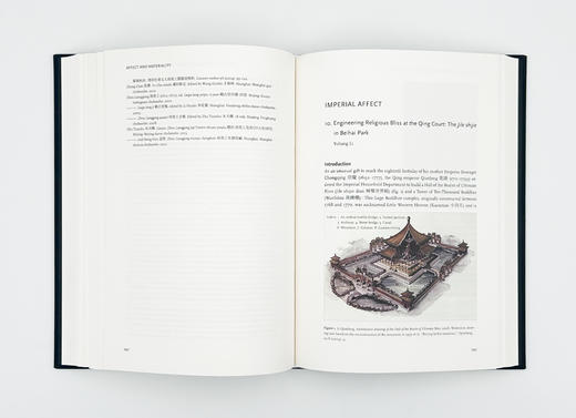 Affect and Materiality: Emotion in Chinese Art / 情动与物性：中国艺术中的情感 商品图7