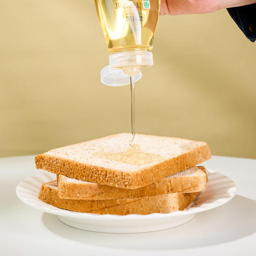 森蜂园-洋槐蜂蜜挤压装250g（绿色食品） 商品图3